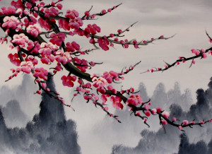 Cherry Blossoms 01
